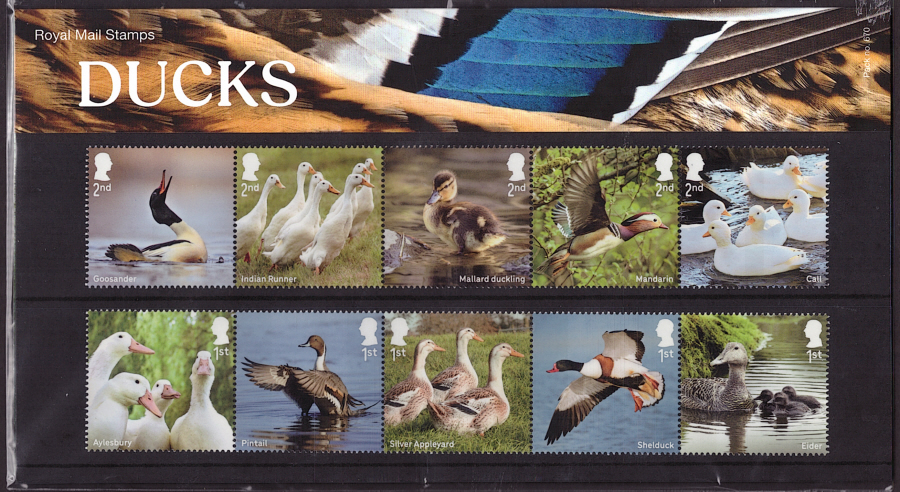 (image for) 2025 Ducks Royal Mail Presentation Pack 670